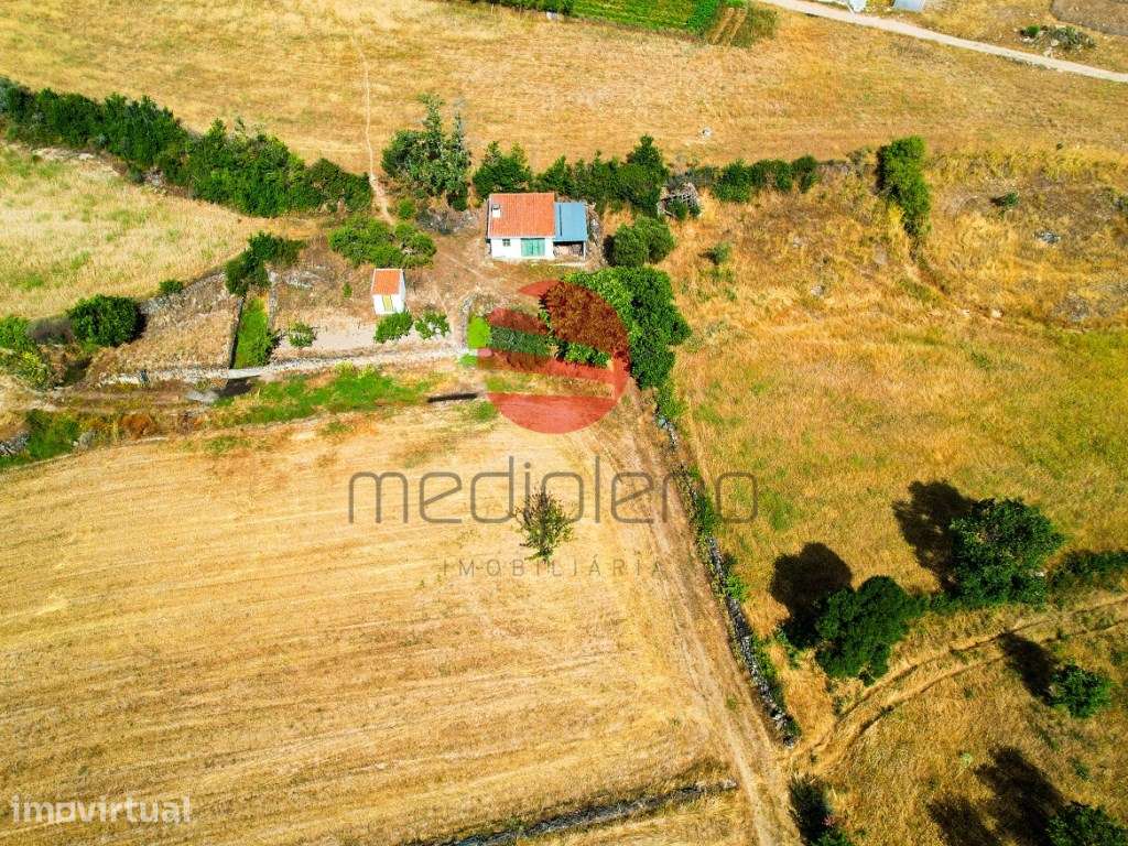 QUINTA AGRICOLA - Grande imagem: 4/14