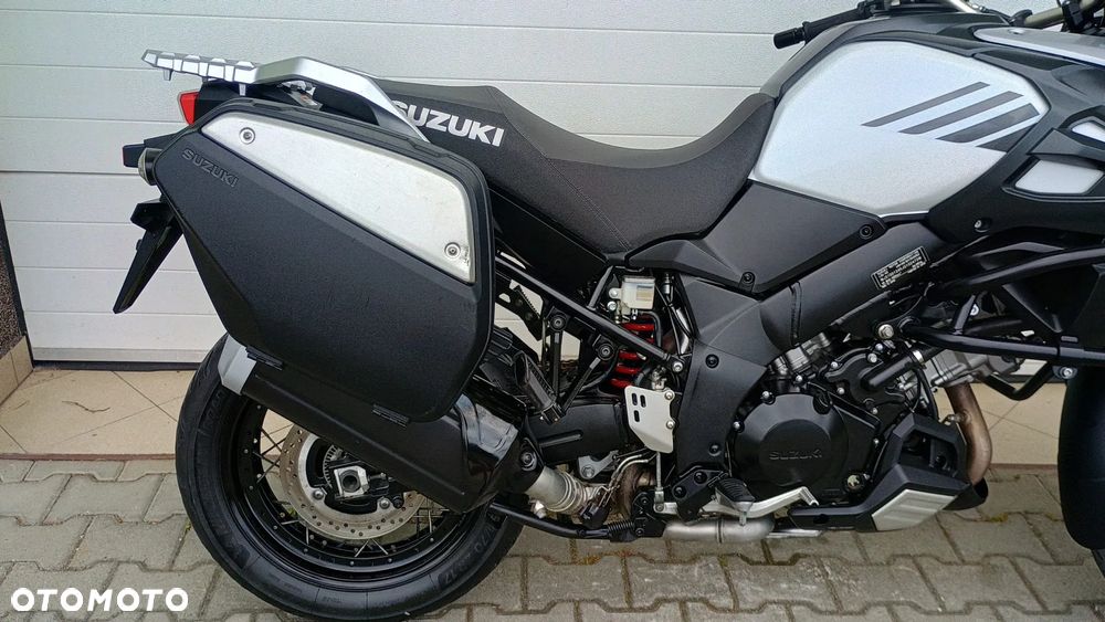 Suzuki DL - 31
