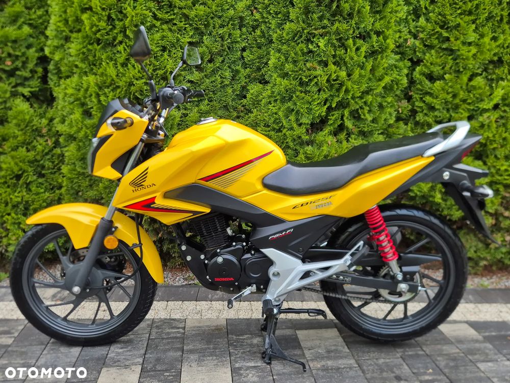 Honda CBF - 5