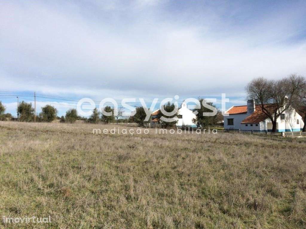 Terreno Rústico situado na Freguesia de Figueira e Barros - Grande imagem: 4/13