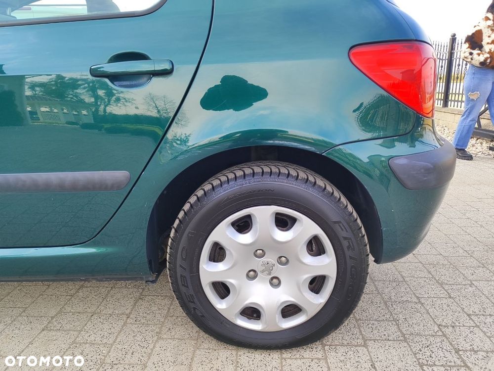 Peugeot 307 1.6 - 7
