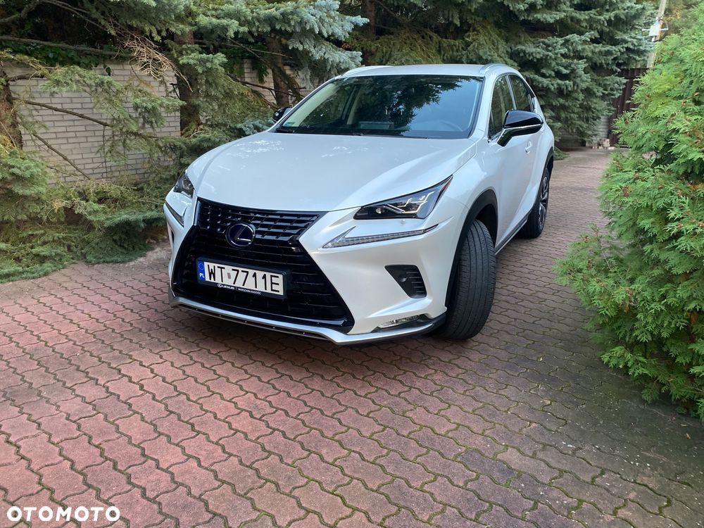 Lexus NX - 6