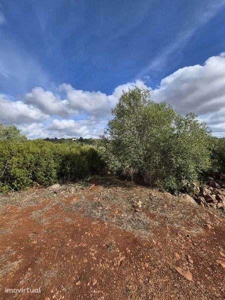 Terreno Rústico 1280m² em S. B. Messines - Grande imagem: 4/11