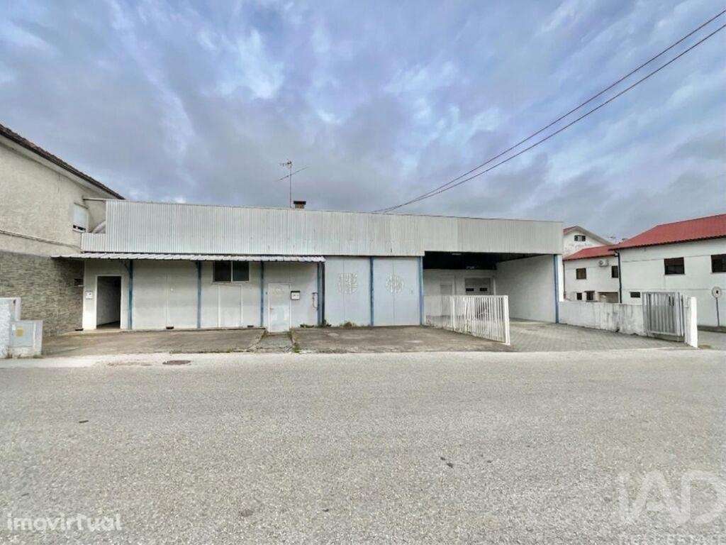 Loja / Estabelecimento Comercial em Campo de Besteiros de 317,00 m2 - Grande imagem: 3/30