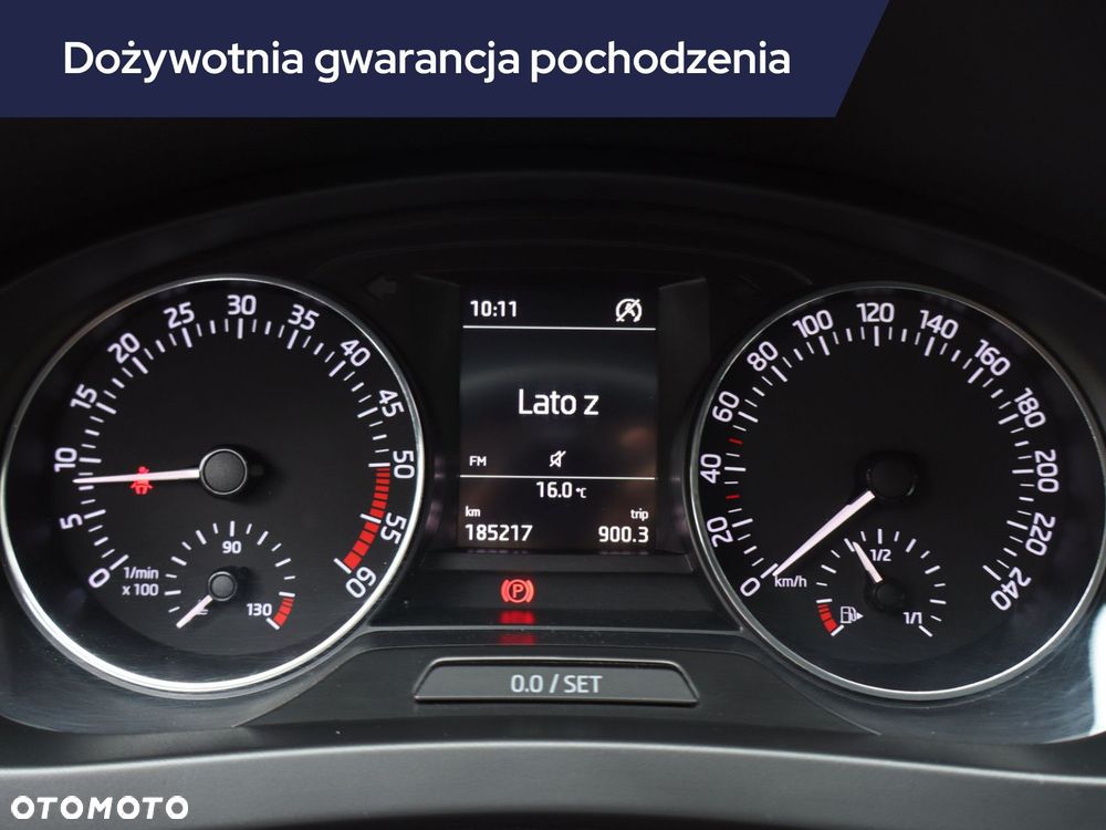 Skoda RAPID - 13
