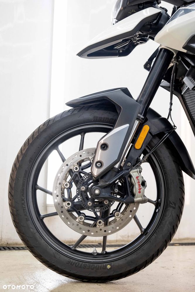Triumph Tiger - 31