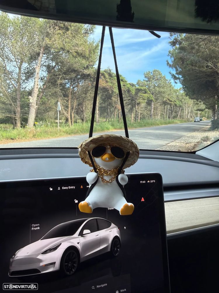 Tesla Model Y Standard - 9