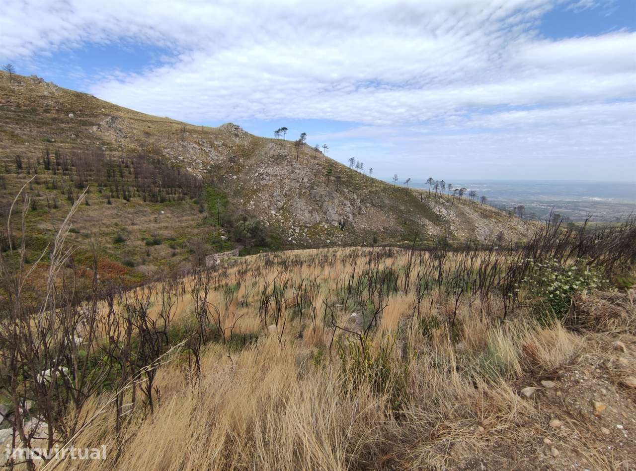 Quinta  Venda em Figueiró da Serra e Freixo da Serra,Gouveia - Grande imagem: 5/6
