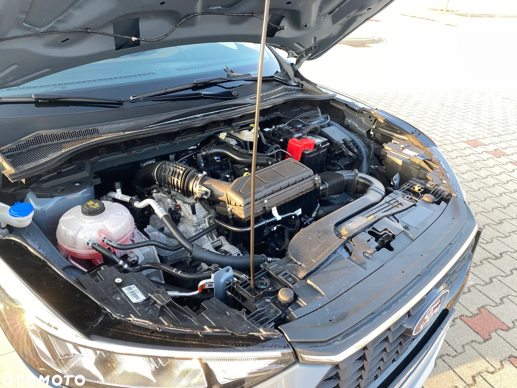 Ford Escape 1.5 EcoBoost AWD SE - 19