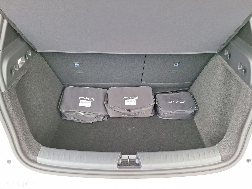 BYD Dolphin G Active E-CVT - 19