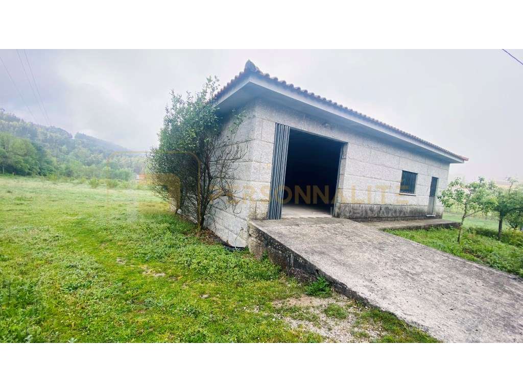 Armazém com terreno freguesia de Arnozela - FAFE - Grande imagem: 2/19