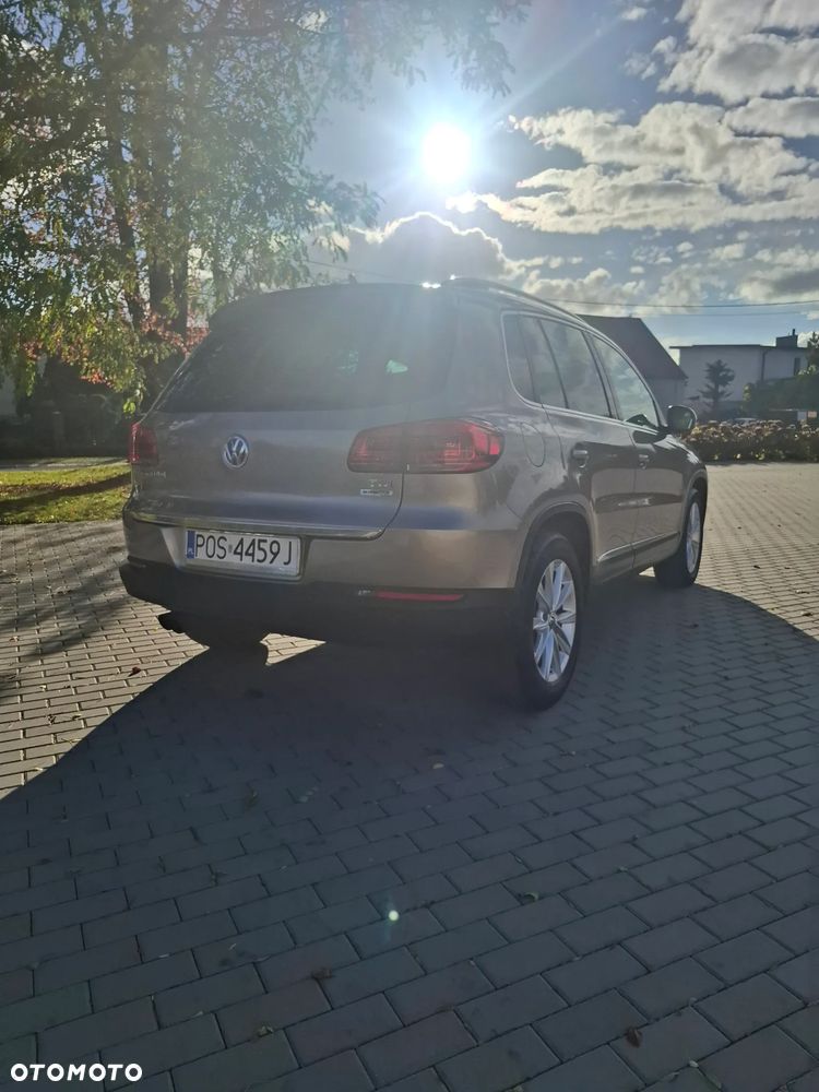 Volkswagen Tiguan - 37