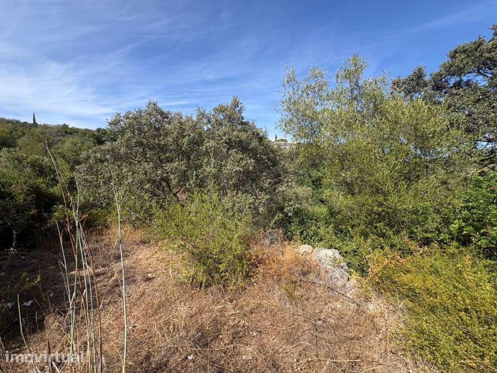 Terreno Rústico com 890m² na Aldeia da Soalheira, Loulé, Algarve - Grande imagem: 2/14
