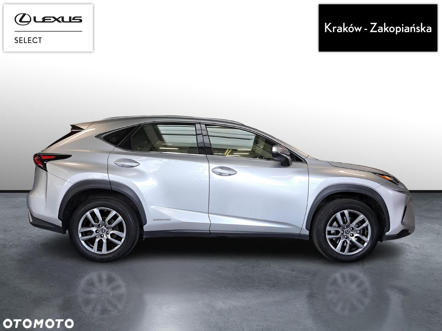 Lexus NX - 6