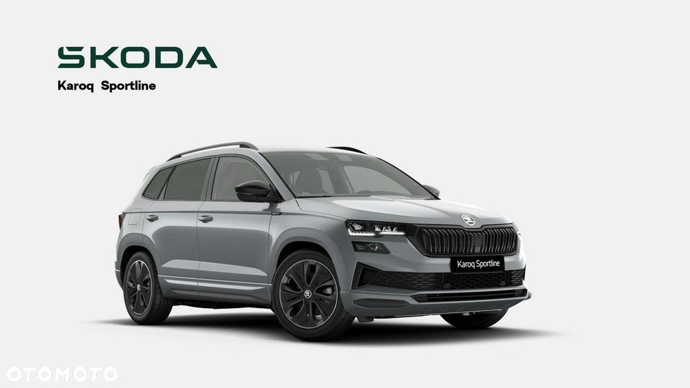 Skoda Karoq - 2