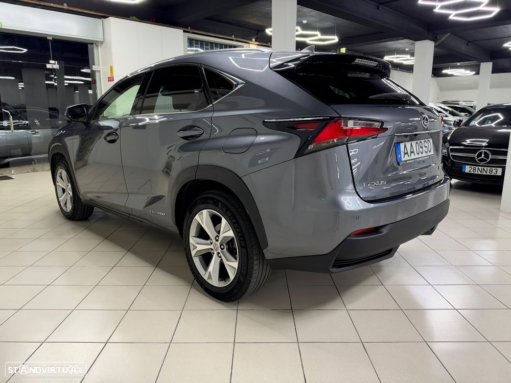 Lexus NX 300h Executive Plus - 10