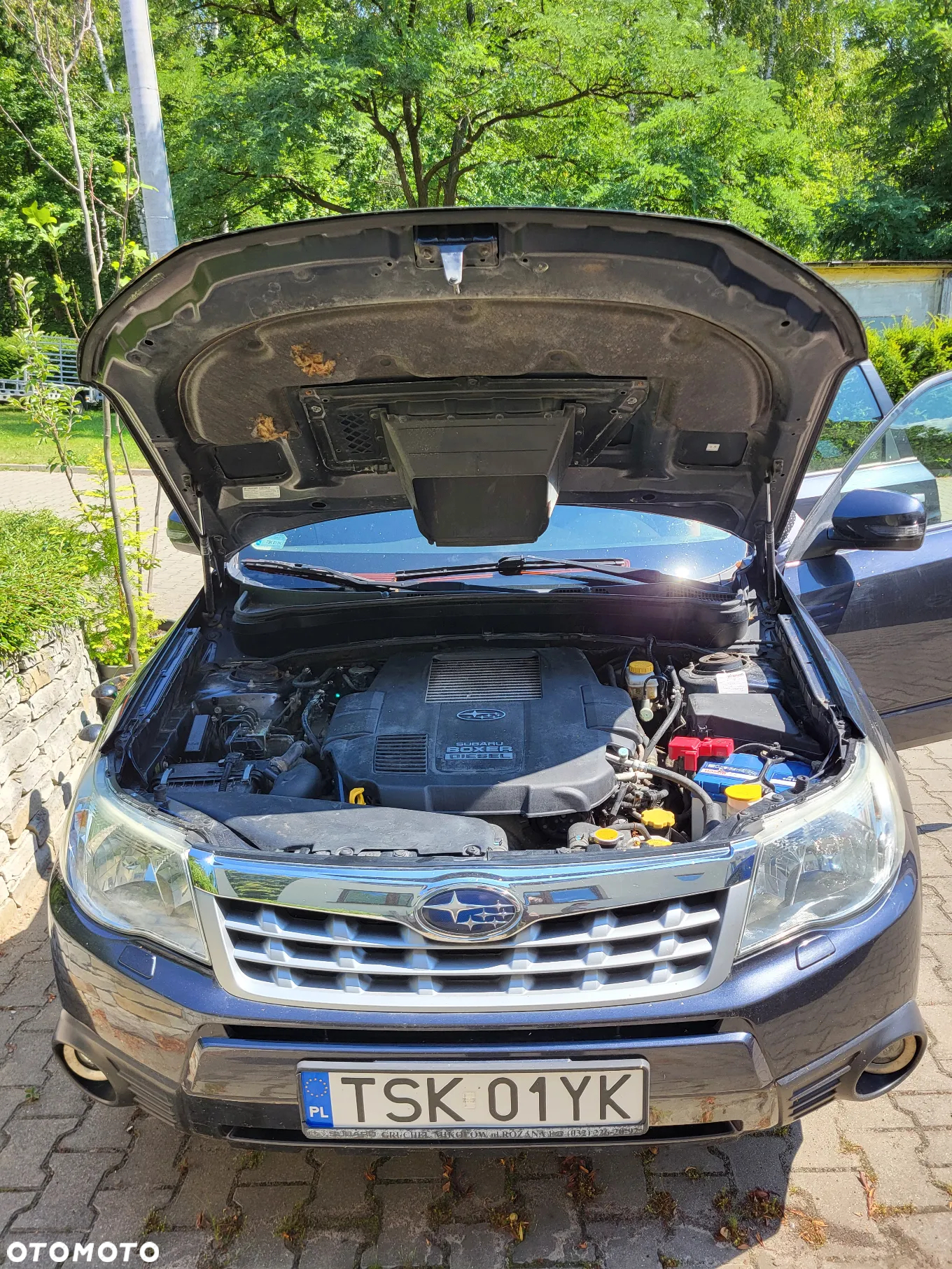 Subaru Forester - 9