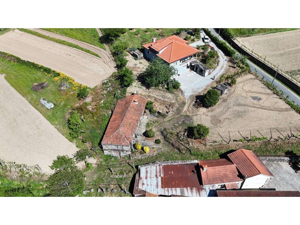 Moradia para Restauro com Terrenos Agrícolas e Pinhal - Grande imagem: 5/7