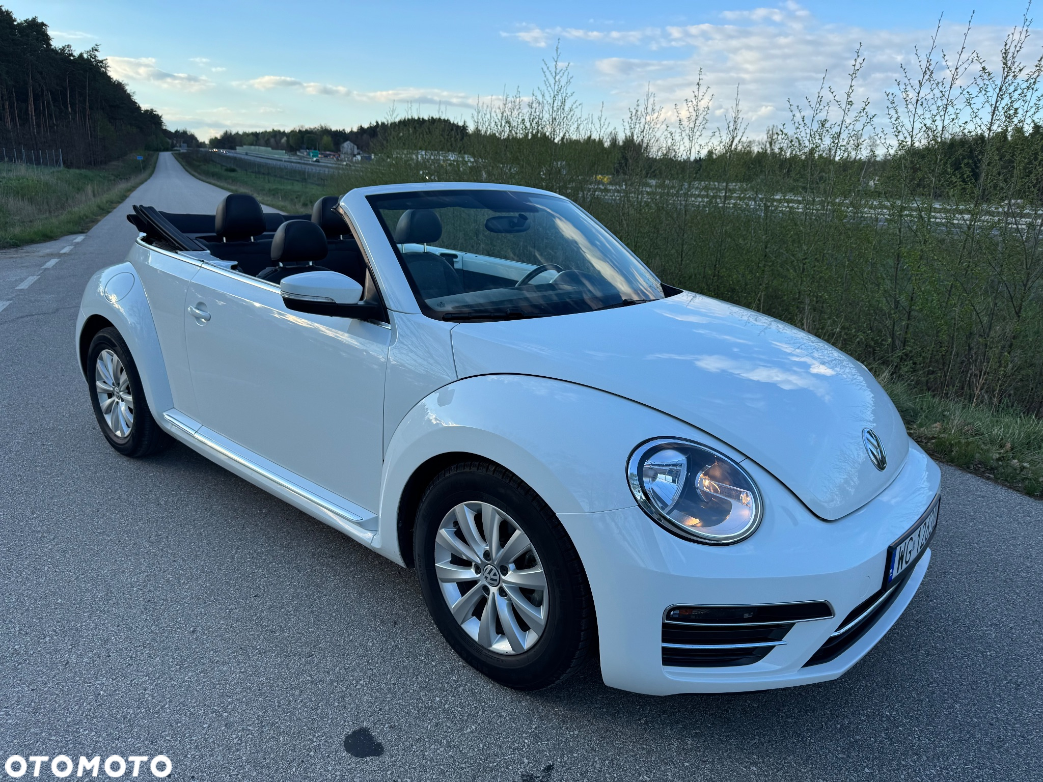 Volkswagen Beetle - 15