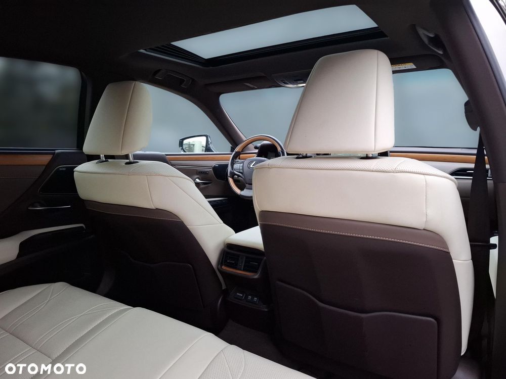 Lexus ES 300h Omotenashi - 16