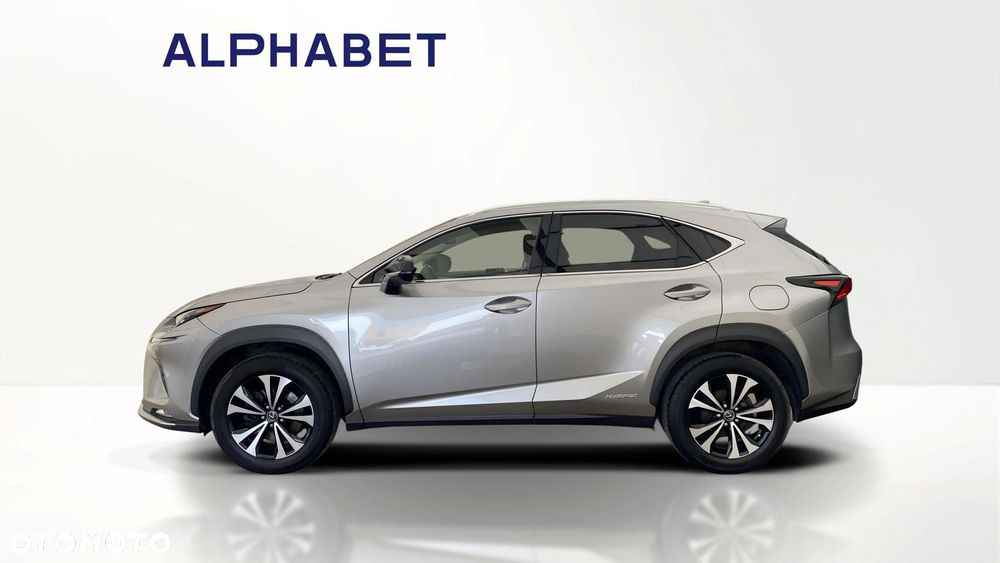Lexus NX 300h F Impression AWD - 2