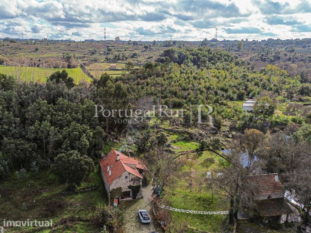 Quinta com 7.400 m² e 2 casas, confinante com a ribeira, em Alcains - Grande imagem: 3/45