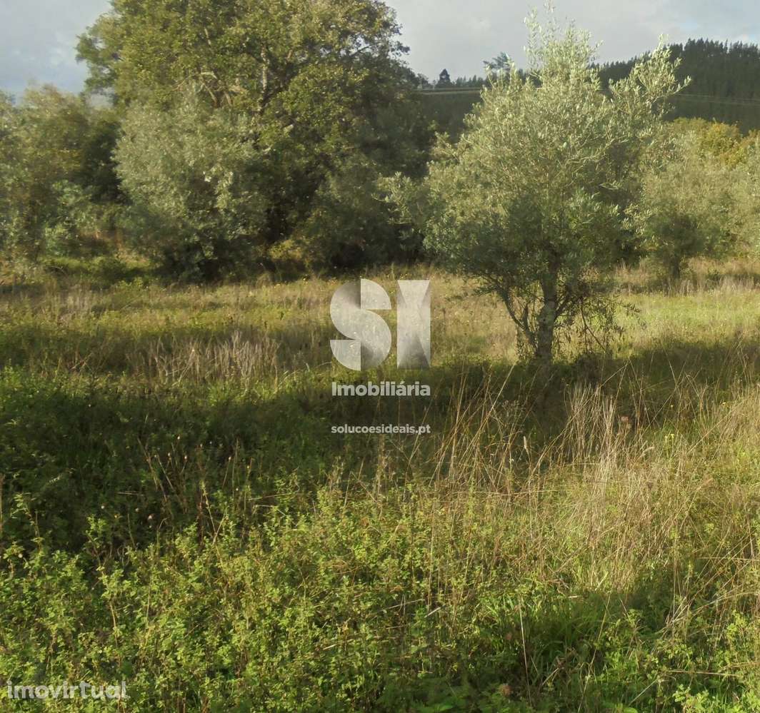 Terreno em Lousã - Grande imagem: 3/7