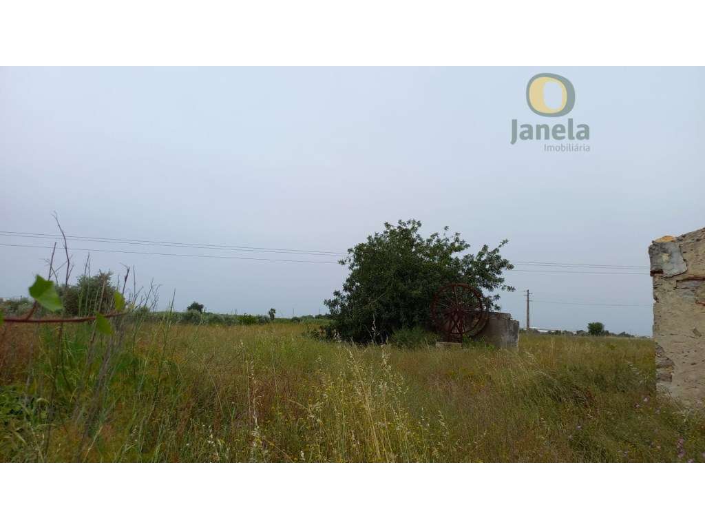 Quinta com 2 hectares e casa por restaurar - Grande imagem: 3/3