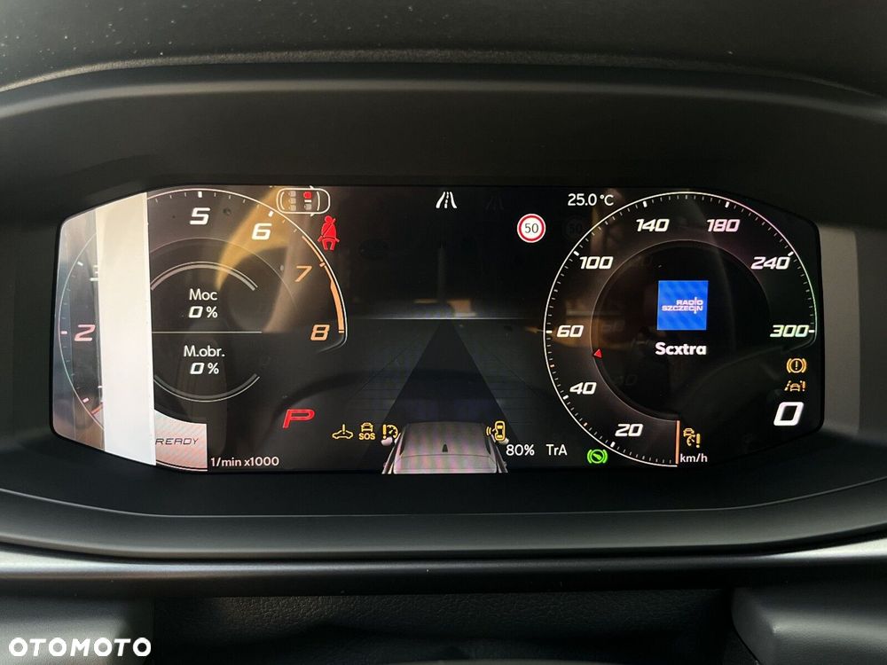Cupra Terramar 2.0 TSI 4Drive DSG - 30