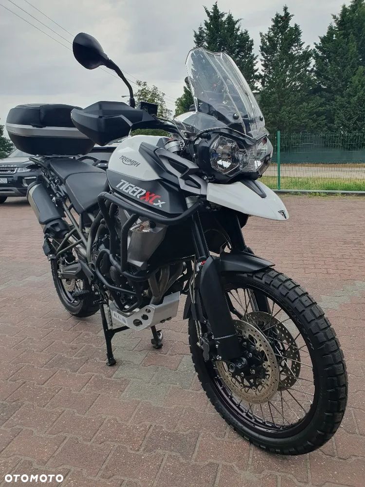Triumph Tiger - 24