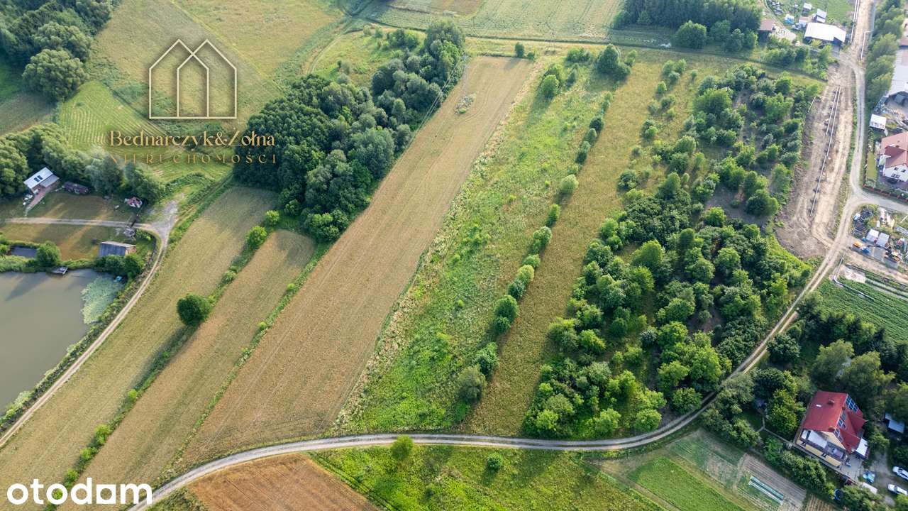 Działki budowlane z warunkami zabudowy w Warzycach - Spokojna okolica - Pełny obrazek: 3/9