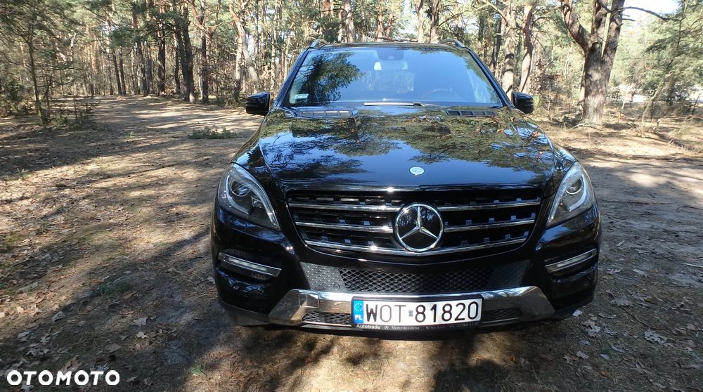 Mercedes-Benz ML 500 BlueEff 4-Matic - 2