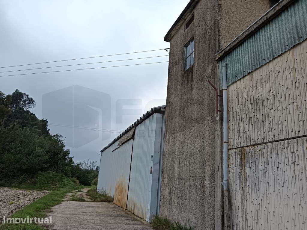 Pavilhão Industrial - Vagos - Grande imagem: 3/4