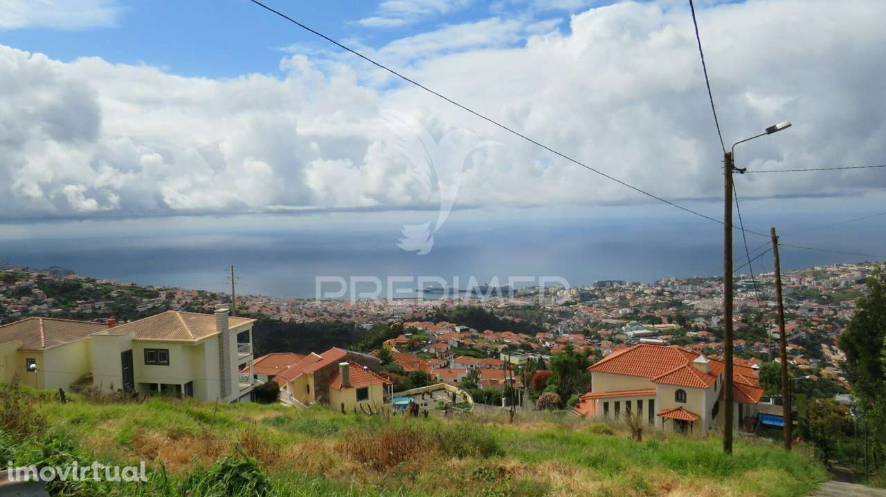 TERRENO 1005M2 PLANO EM SÃO ROQUE - Grande imagem: 3/4