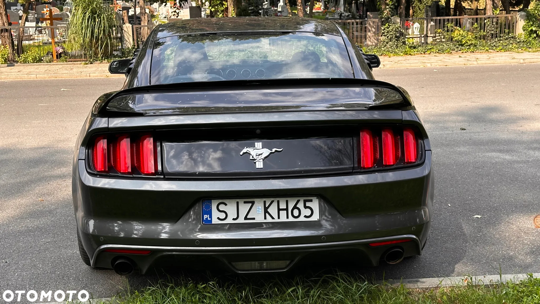 Ford Mustang 3.7 V6 - 7