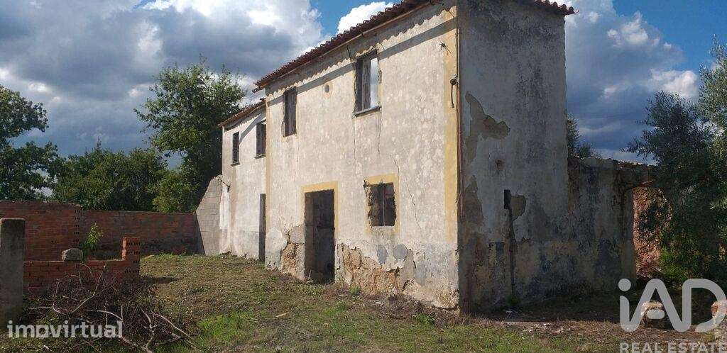 Casa / Villa T3 em Santa Comba Dão e Couto do Mosteiro - Grande imagem: 4/28