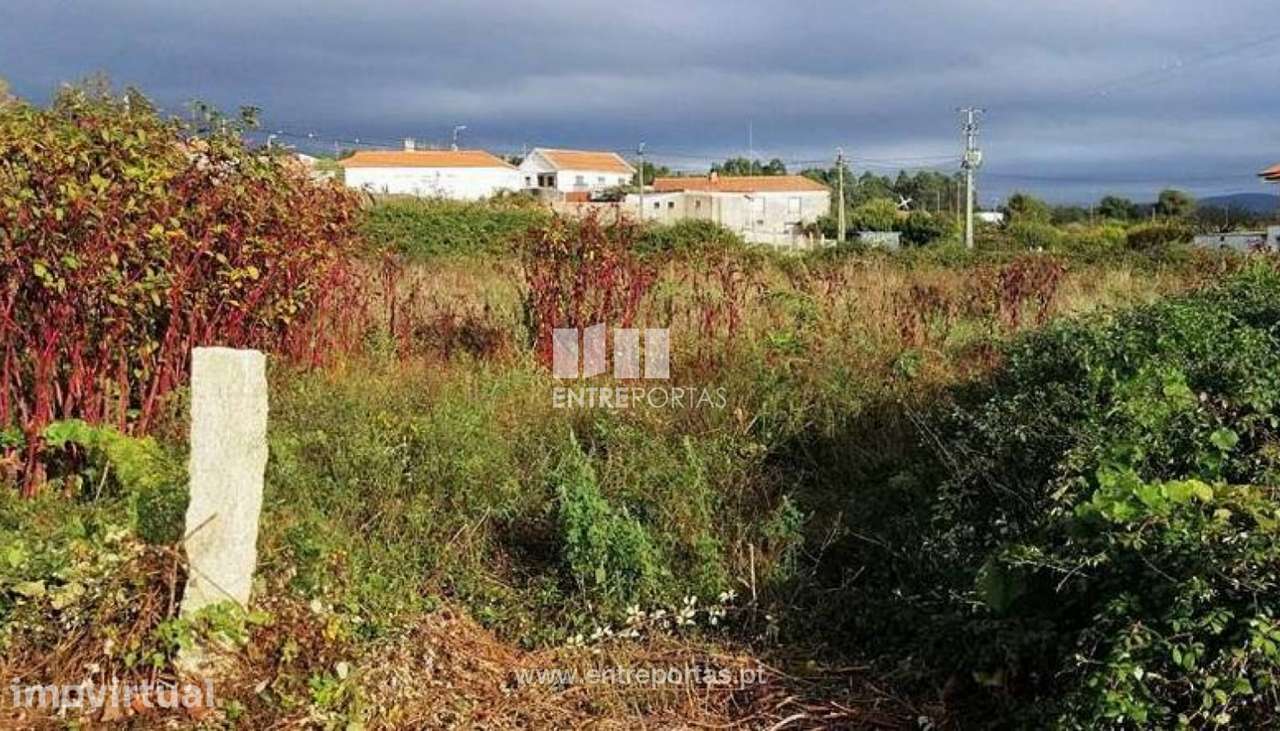 Venda de terreno agricola, Chafé, Viana do Castelo - Grande imagem: 4/30