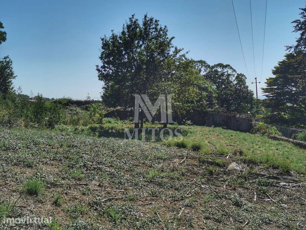 Lote para construção - Afife - Grande imagem: 4/8