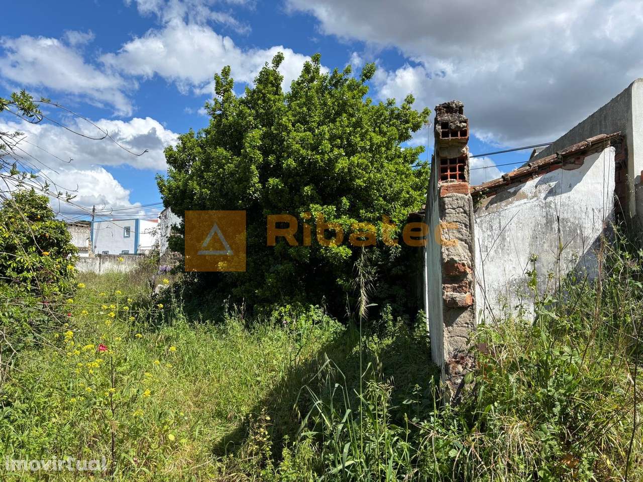 Terreno  Venda em Coruche, Fajarda e Erra,Coruche - Grande imagem: 3/9