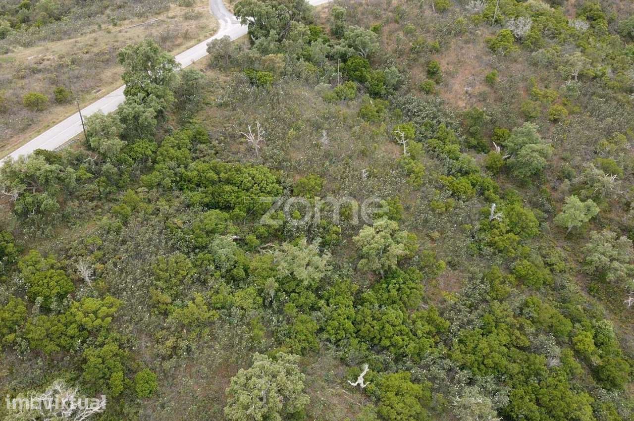 Terreno Rústico com 11.000m2 em Monte Velho, São Barnabé - Grande imagem: 4/10