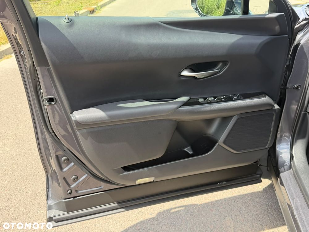 Lexus UX 250h - 18