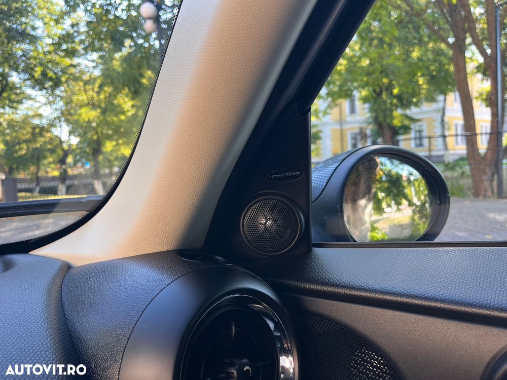 Mini Paceman - 38