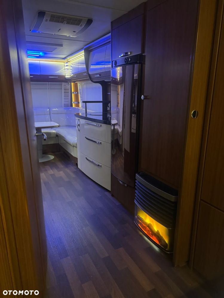 Tabbert Puccini - 12