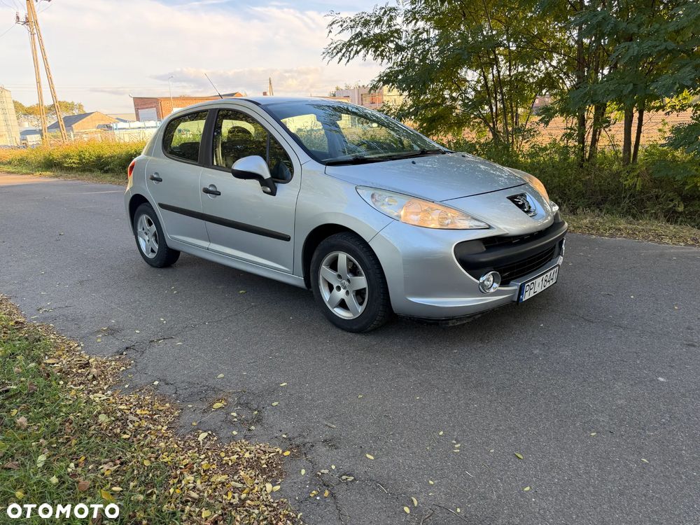 Peugeot 207 - 5