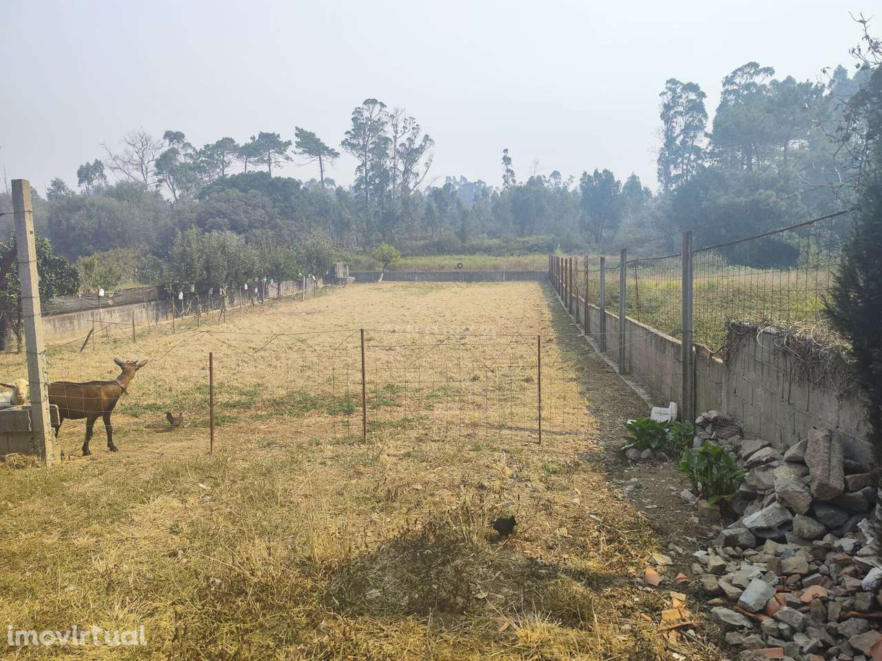 Terreno Rústico em Barqueiros, Barcelos - Grande imagem: 4/26