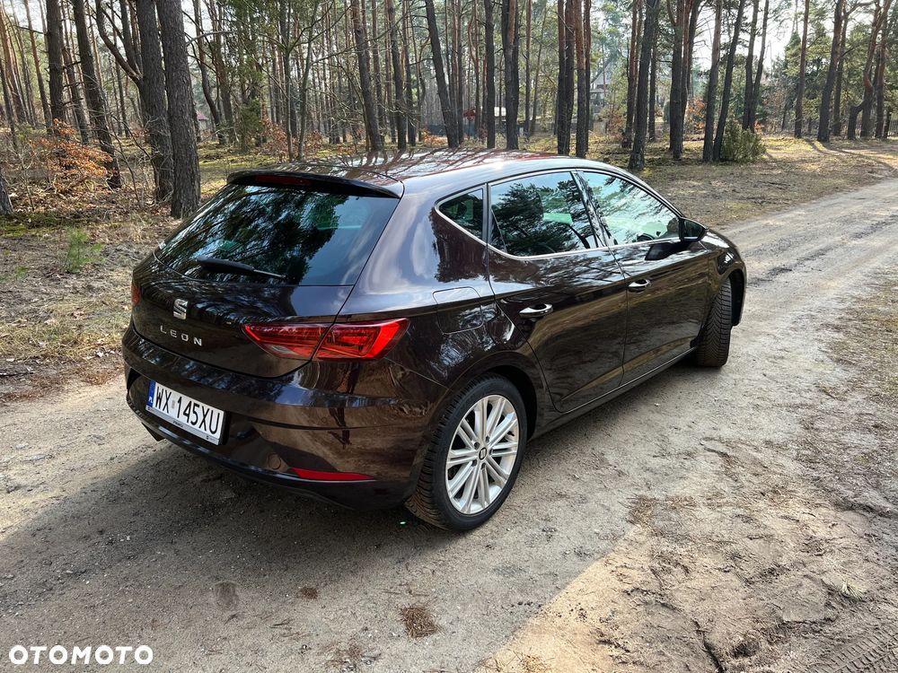 Seat Leon 1.5 EcoTSI Evo Xcellence S&S - 17