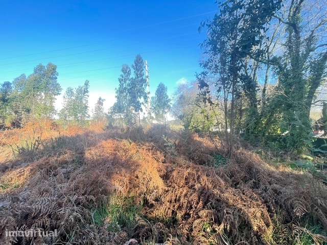 Terreno  Venda em Canelas,Vila Nova de Gaia - Grande imagem: 3/16