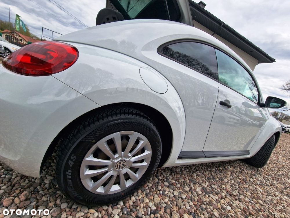 Volkswagen Beetle - 28