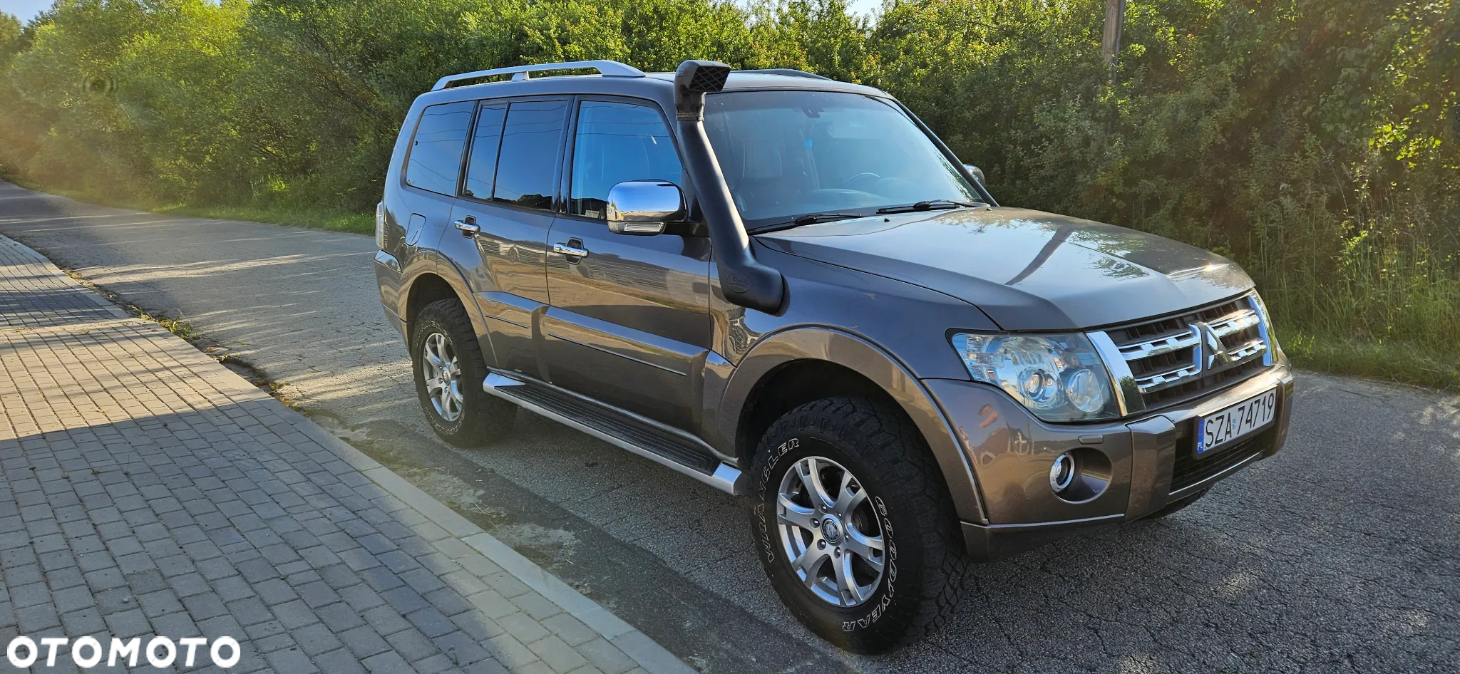 Mitsubishi Pajero - 7