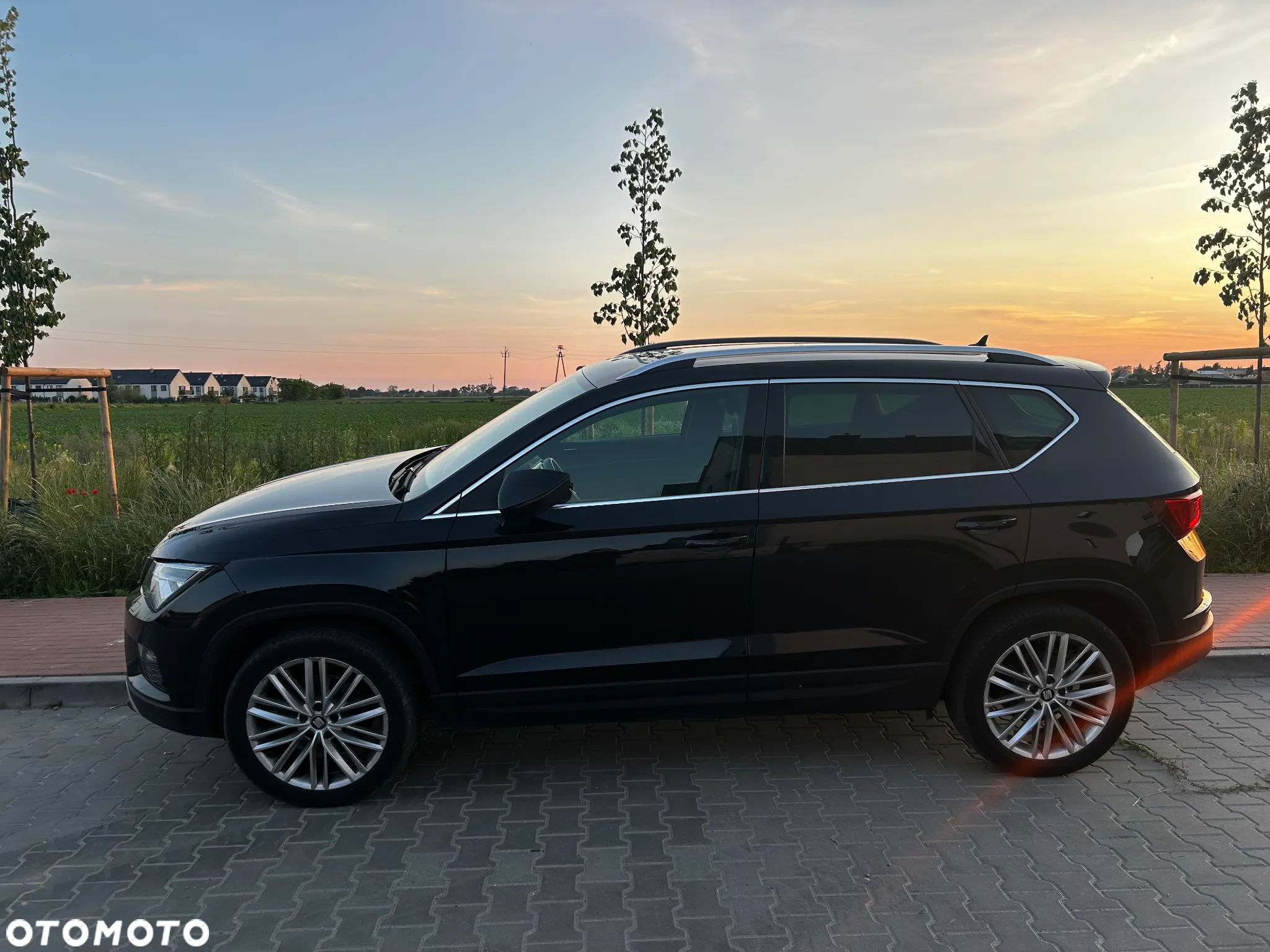 Seat Ateca 1.5 Eco TSI Xcellence S&S DSG - 7